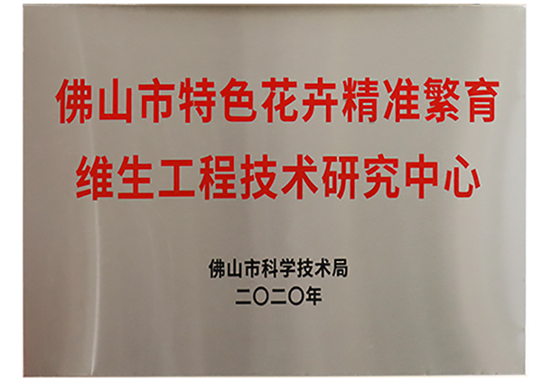 佛山市特色花卉精準繁育香蕉91视频污工程技術研究中心